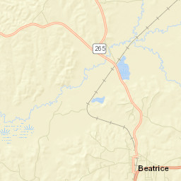 Buena Vista Alabama Street Map