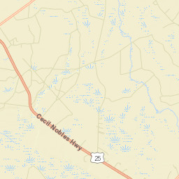Long County Street Map