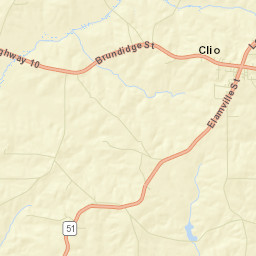 Elamville Alabama Street Map