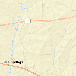 Blue Springs Alabama Street Map
