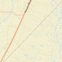Wayne County Street Map