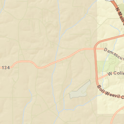 Pine Forest Alabama Street Map
