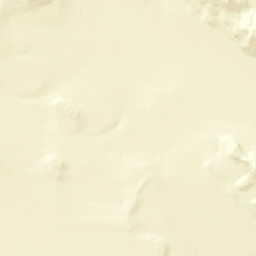 Ascensión Street Map