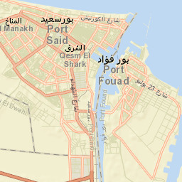 Port Said Street Map