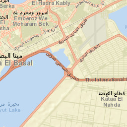 Alexandria Street Map