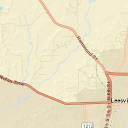 Leesville Street Map