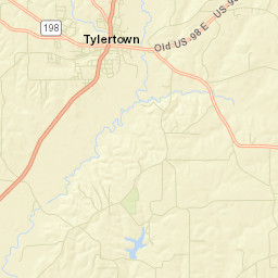 Tylertown Street Map