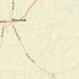 Slocomb Alabama Street Map