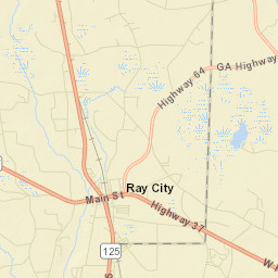 Ray City Street Map