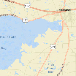 Lanier County Street Map