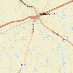 Homerville Street Map