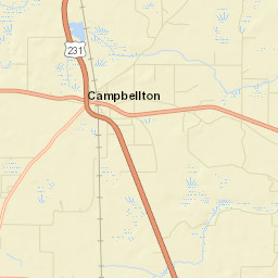 Ellaville Florida Street Map