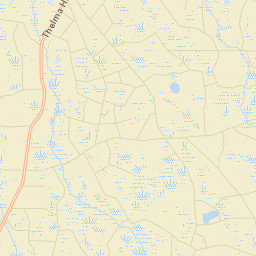 Clinch County Street Map
