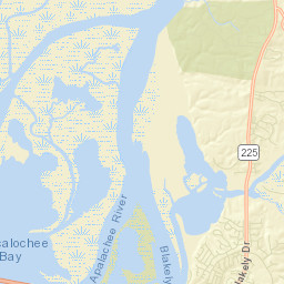 Buzbee Landing Alabama Street Map