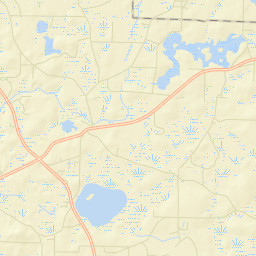 Whitehead Crossroads Florida Street Map