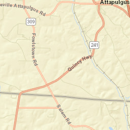 Dogtown Florida Street Map