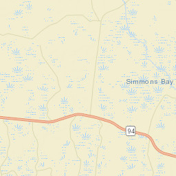 Echols County Street Map