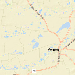 Vernon Florida Street Map
