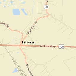 Livonia Street Map