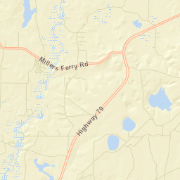 Millers Ferry Florida Street Map