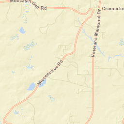 Miccosukee Florida Street Map