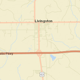 Livingston Street Map