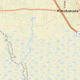 Ponchatoula Street Map