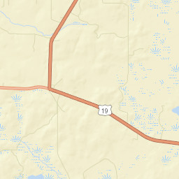 Capps Florida Street Map