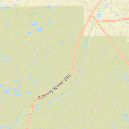 Taylor Florida Street Map