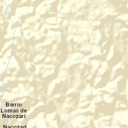 Nacozari Viejo Street Map