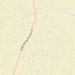 Frink Florida Street Map