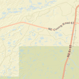 Telogia Florida Street Map
