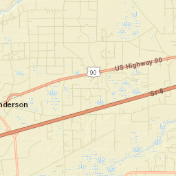 Pine Top Florida Street Map