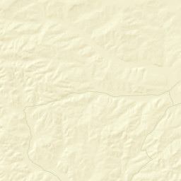 Terrell County Street Map