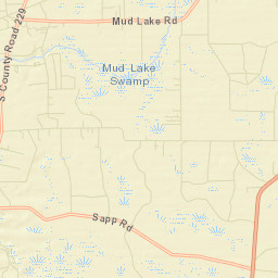 Sapp Florida Street Map
