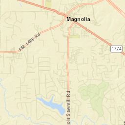 Magnolia Street Map