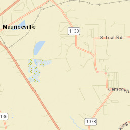 Mauriceville Street Map