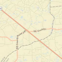 Lulu Florida Street Map