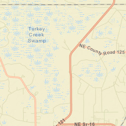 Ellerbee Florida Street Map