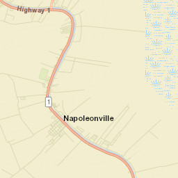 Napoleonville Street Map