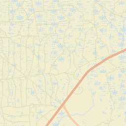 Cooks Hammock Florida Street Map