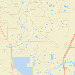 Rice Creek Florida Street Map