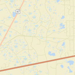 Tyler Florida Street Map