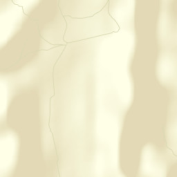 Coyame del Sotol Street Map