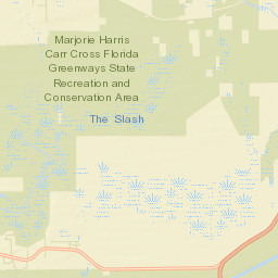 Rodman Florida Street Map