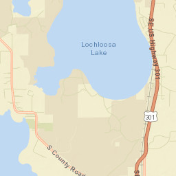 Lochloosa Florida Street Map