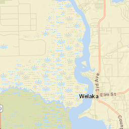 Welaka Florida Street Map