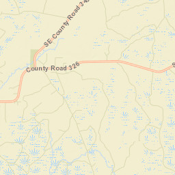 Beetree Ford Florida Street Map