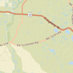 Lynne Florida Street Map