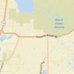 Confer Florida Street Map